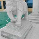 石嘴山 白麻花岗岩动物异形石雕-大象