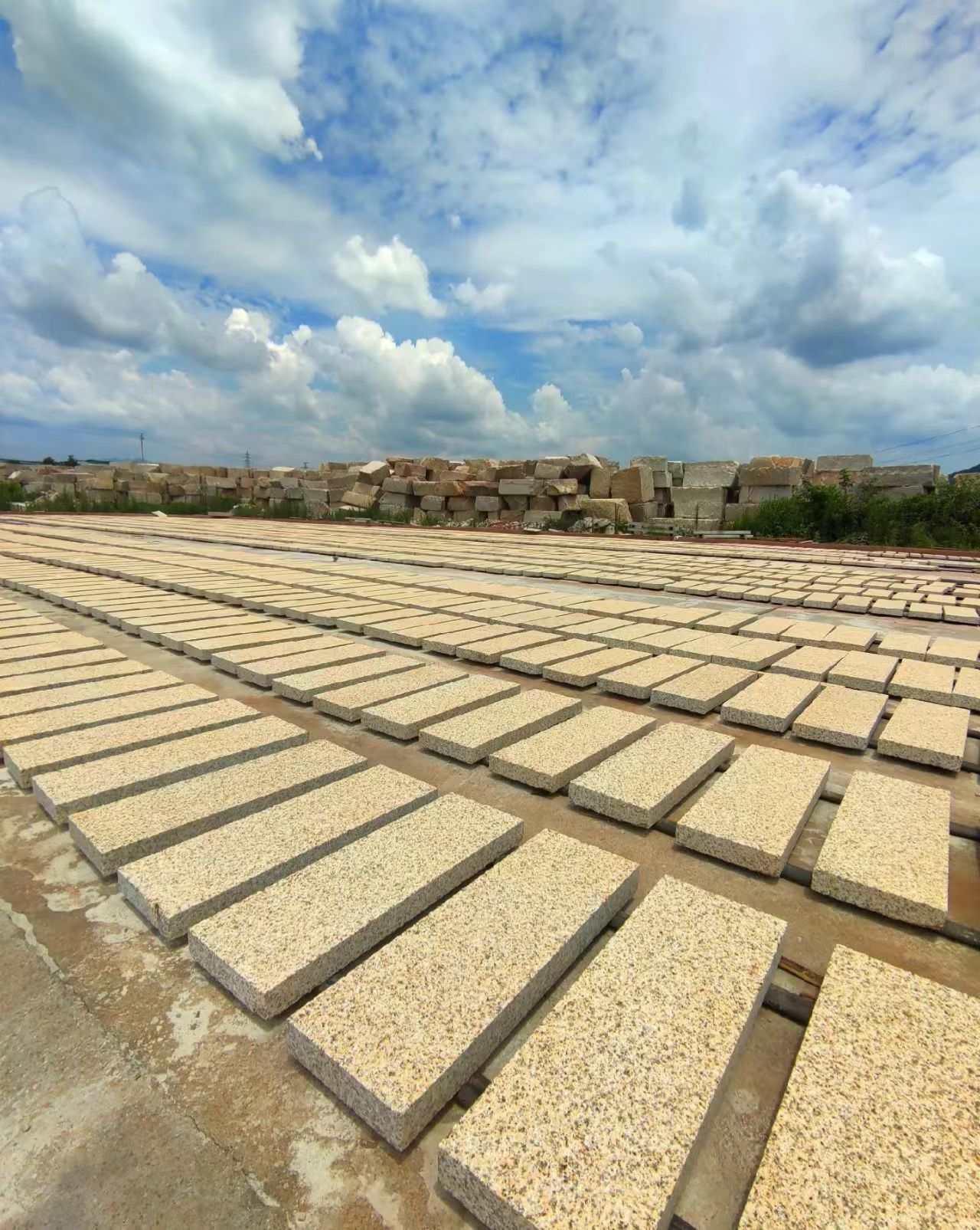 石嘴山 黄金麻花岗岩荔枝面地铺石防护中